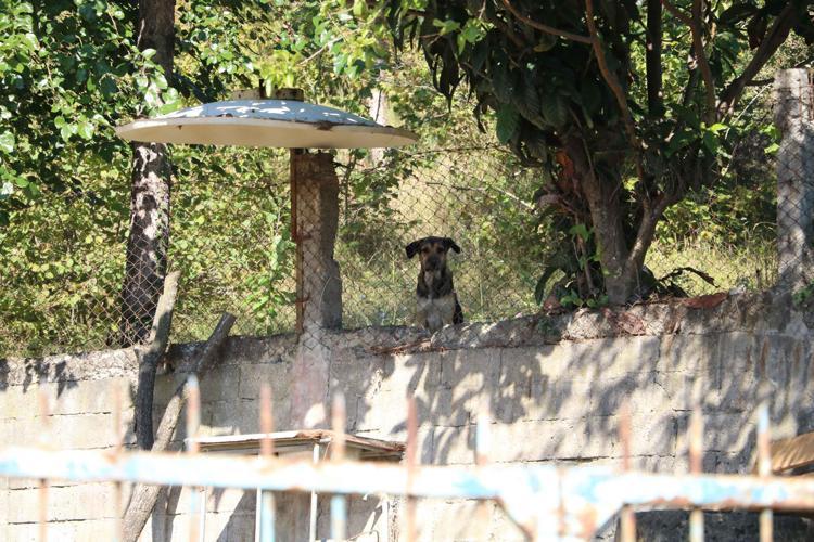 ‘RAHMETLİYE ALIŞKIN DEĞİLLERDİ’