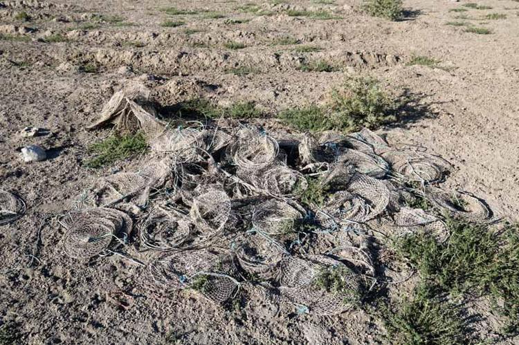 KARASAL EKOSİSTEME DÖNÜŞMÜŞ