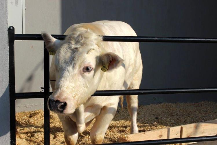 ÜRETİCİLERE EĞİTİM