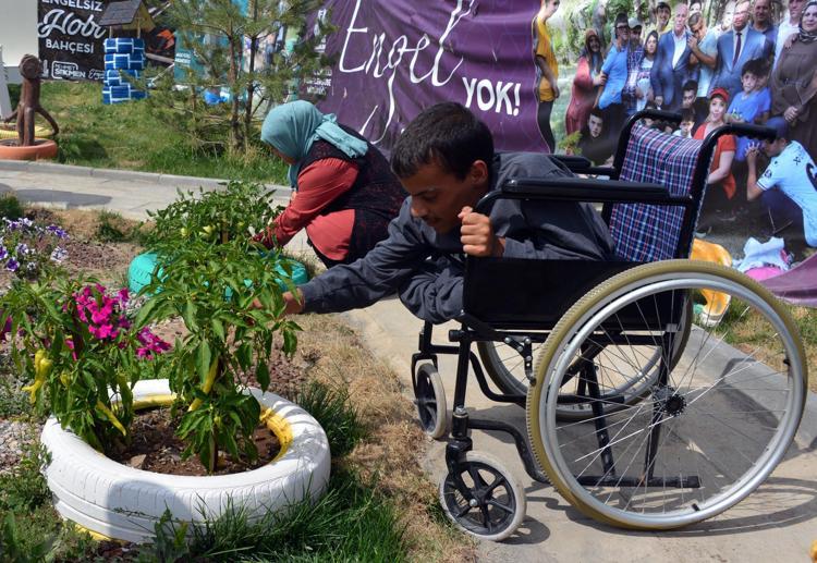 REHABİLİTASYON GİBİ