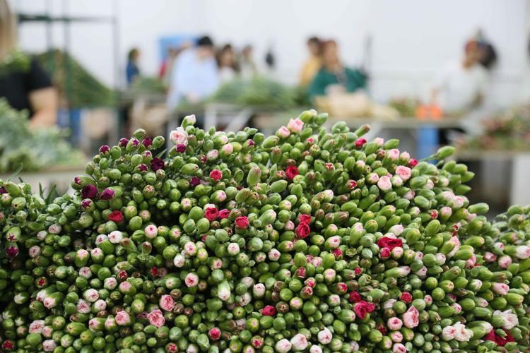 ÜRETİMİN ÇOK AZ OLDUĞU DÖNEM