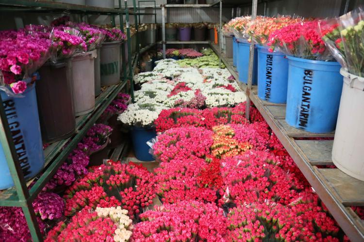 HER RENKTEKİ KARANFİLİ GÖNDERİYORUZ