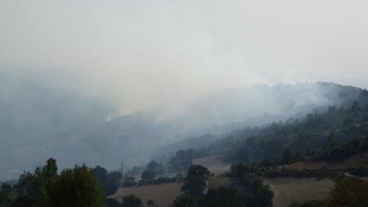 MÜDAHALE DEVAM EDİYOR