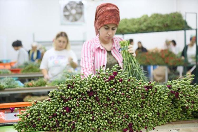 5 MİLYON TLNİN ÜSTÜNDE GELİR