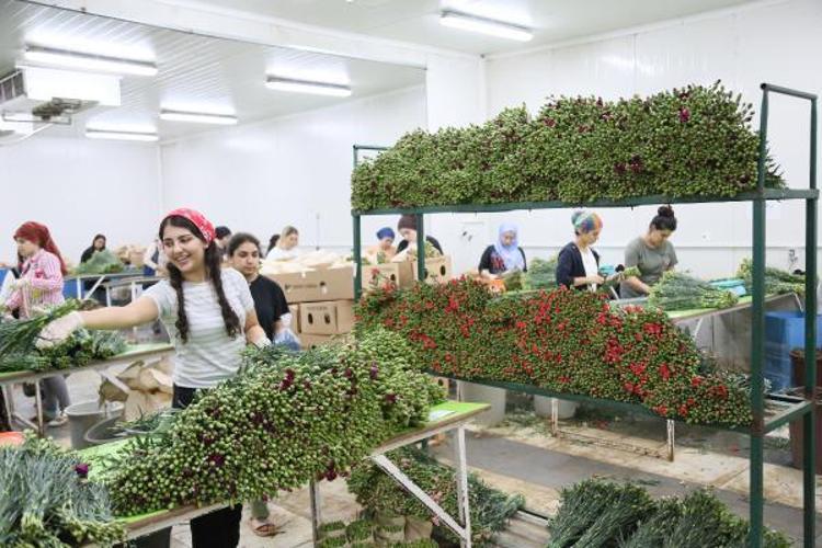 MESAİ YETMEDİ, EK VARDİYA KONULDU