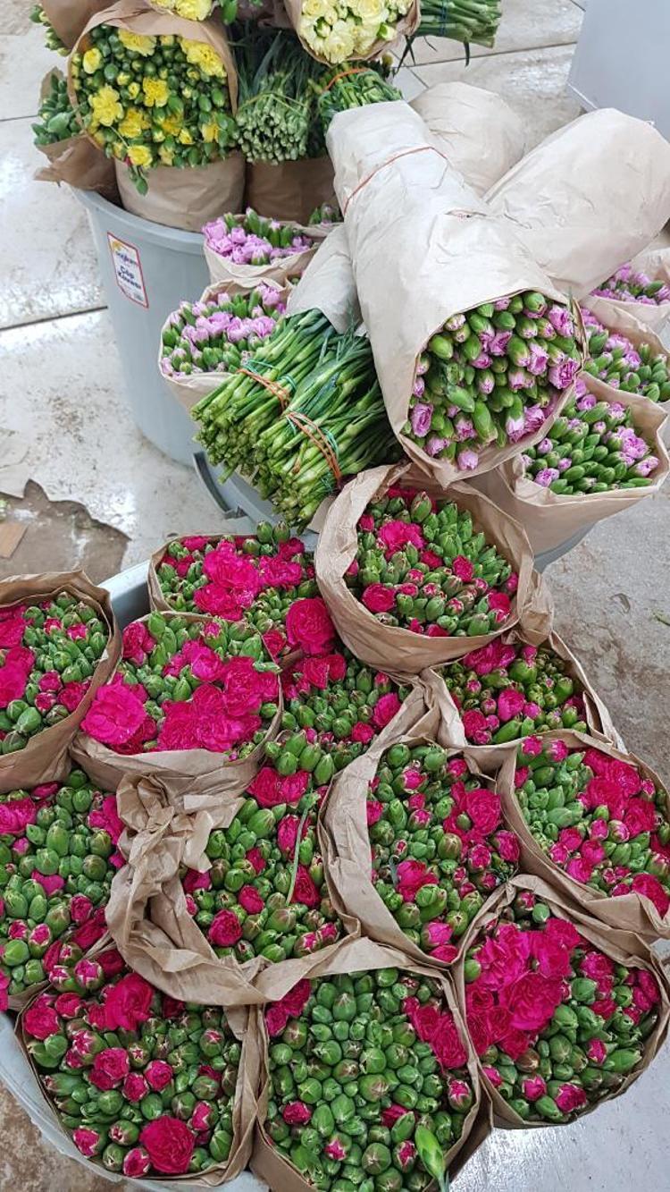 8 GÜNDE 1 MİLYON 310 BİN DAL