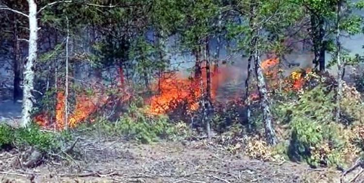 YANGIN KONTROL ALTINA ALINDI