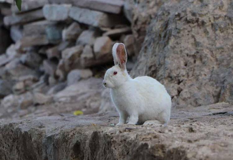 SIFIR HATAYLA TOPLATILMALI