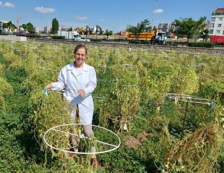 İTHALATTAN İHRACATA