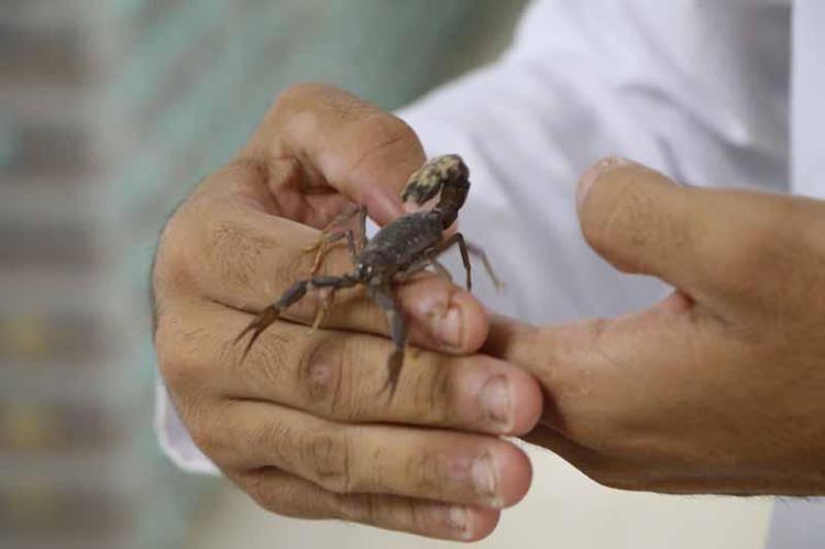 LİTRESİ 10 MİLYON DOLAR