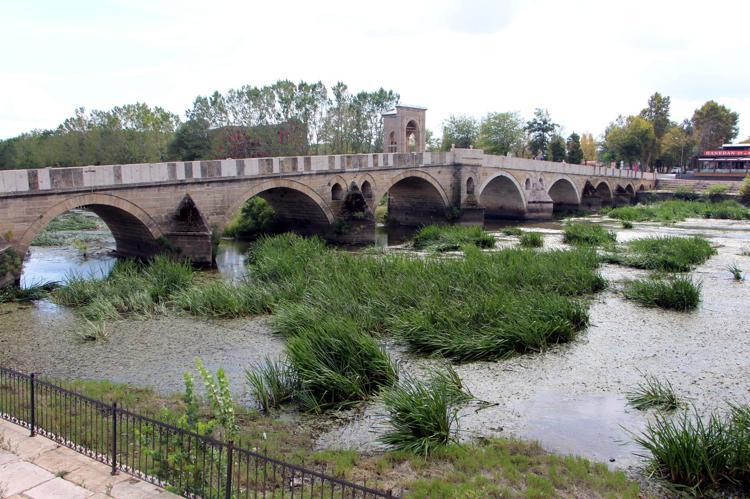 SİNEKTEN DURULMUYOR