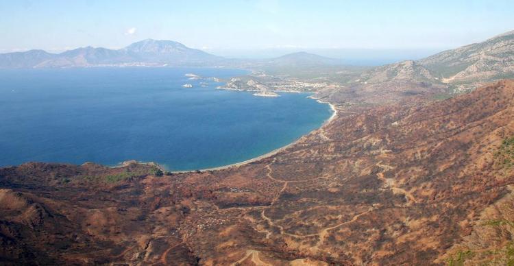 525 MİLYON FİDAN TEKRAR HAYATA GEÇTİ