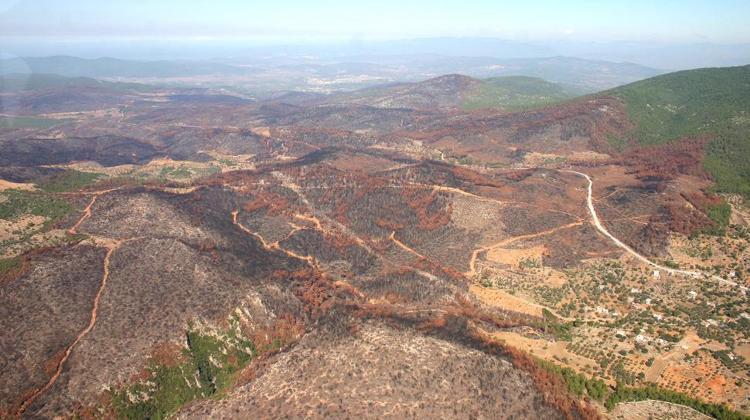 BU YIL YANAN ORMANLARDA TEMİZLİK ÇALIŞMASI BAŞLADI