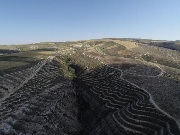 DAHA YEŞİL BİR TÜRKİYE