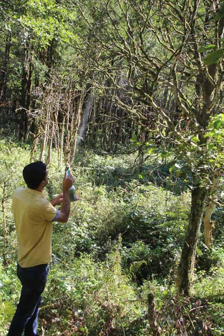 YÜZLERCE TOHUM SENEYE FİLİZLENECEKTİR