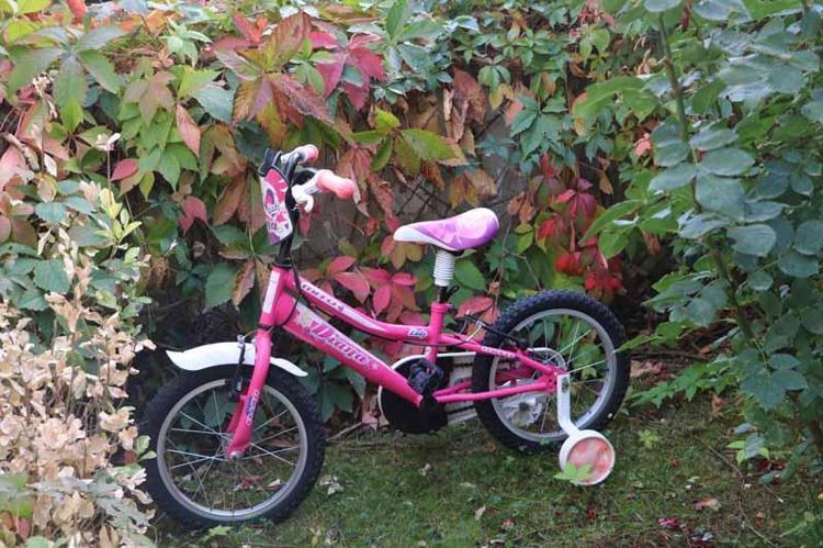 Onur Şener cinayetiyle ilgili Çalışma ve Sosyal Güvenlik Bakanlığından açıklama