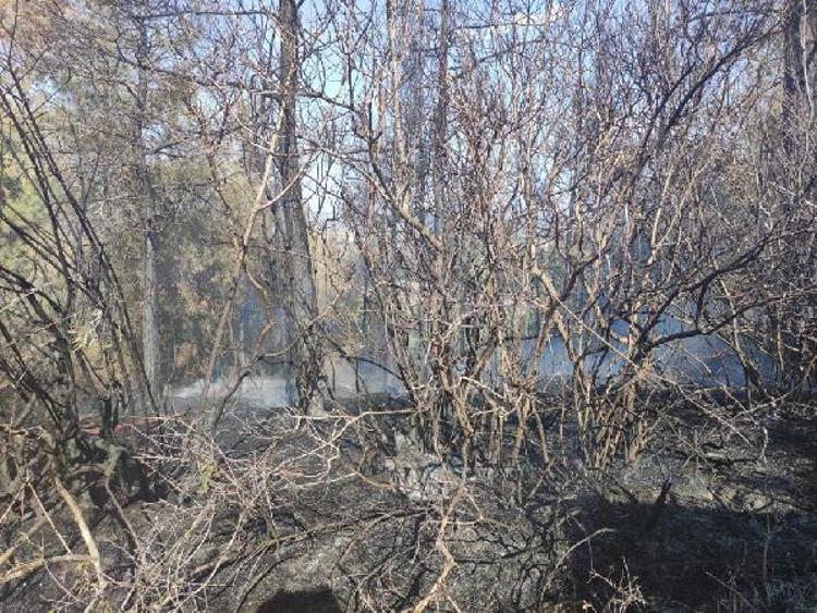 2 KEZ AĞIRLAŞTIRILMIŞ MÜEBBETLE CEZALANDIRILDI