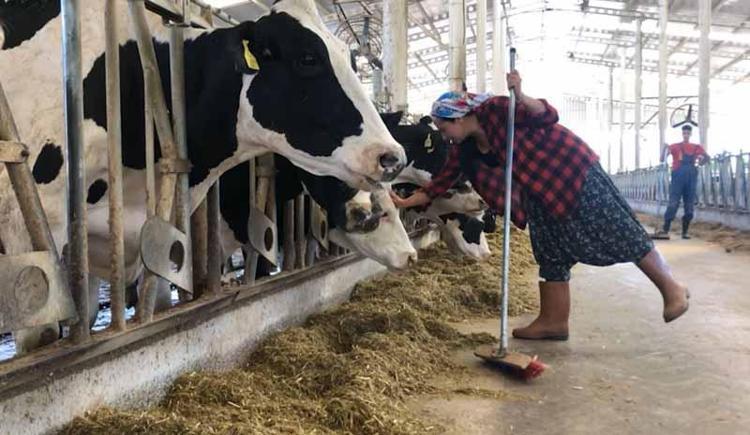 SÜT ÜRETİMİNDEN ARICILIĞA HER ALANDA DESTEK