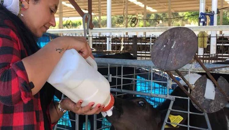 BAKAN KİRİŞCİ: KADINI KIRSALDA TUTAMAZSAK AİLEYİ DE TUTAMAYIZ