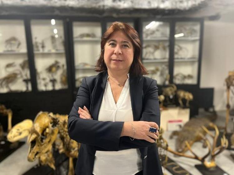 KUŞLAR ABDULHAMİDTEN KALAN KOLEKSİYONLAR