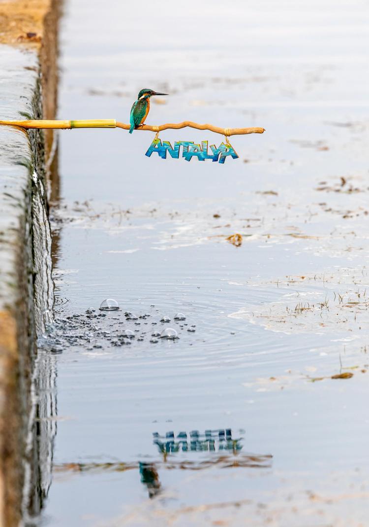 İLK ZİYARETÇİMİZ GÜZEL POZLAR VERDİ