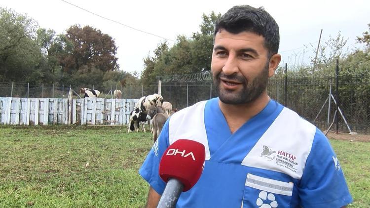 SENEM VE URAZ İSİMLERİ VERİLDİ