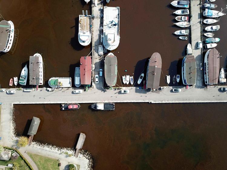 DENİZ SALYASI OLUŞUMUNA KATKI VEREN ORGANİZMALAR ARASINDA YER ALIYOR