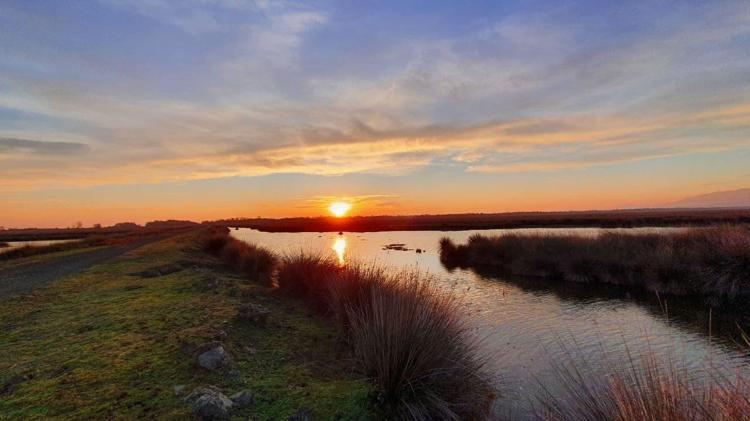 1 SAATTE 44 KUŞ TÜRÜ