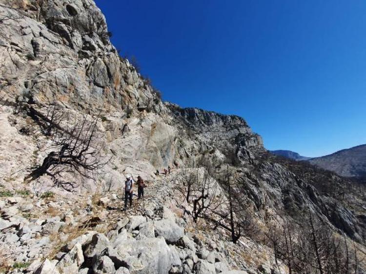 TOMRUK İÇİN YOK EDİLEN TARİH