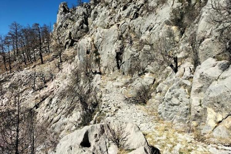 GÖZ GÖRE GÖRE YOK OLACAK