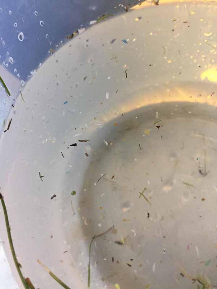 ‘DENİZEL ORTAMDA MİKROPLASTİKSİZ ALAN YOK’