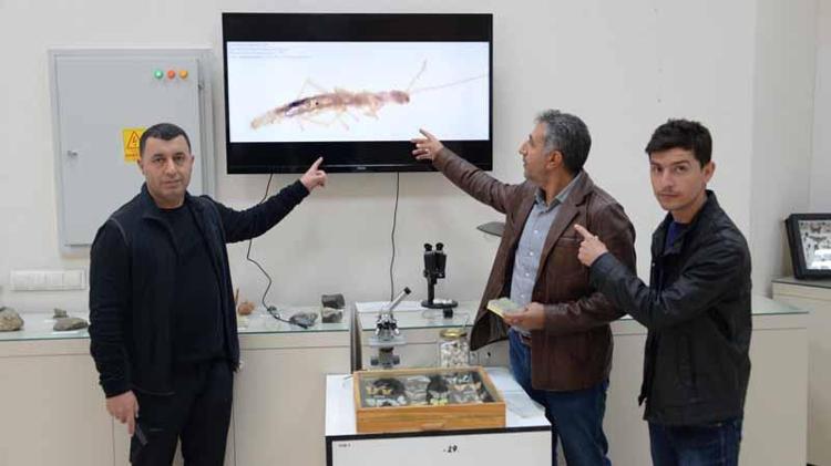 ‘BU BİZİM VE BİYO ÇEŞİTLİLİĞİMİZ İÇİN YANİ DİYARBAKIR İÇİN ÇOK ÖNEMLİ’