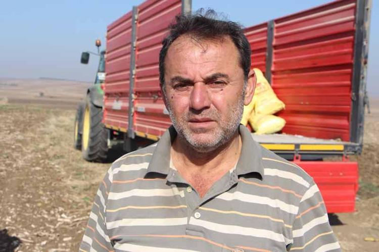 KURU TOPRAĞA BUĞDAY TOHUMU EKİLİYOR