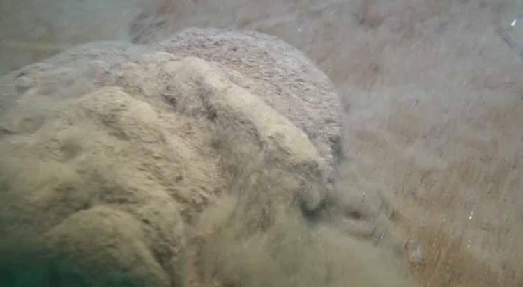 ÇAMUR, MÜSİLAJIN OLUŞMA İHTİMALİNİ ARTIRIYOR