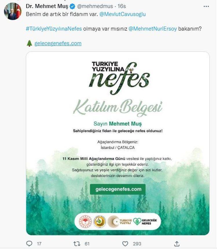 SON 20 YILDA 6 MİLYAR FİDAN