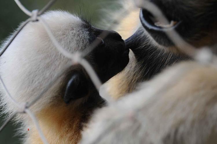 HEP BERABER KARAR VERİP BİR İSİM SEÇECEĞİZ