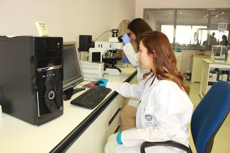 KARBON DÖNGÜSÜNE DE KATKI SAĞLIYORLAR