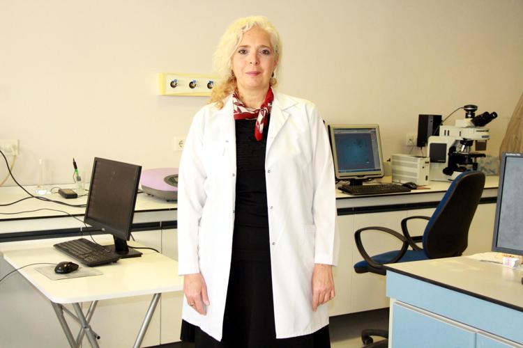 EN ÇOK İLKBAHAR İLE SONBAHARDA GÖRÜLÜYOR