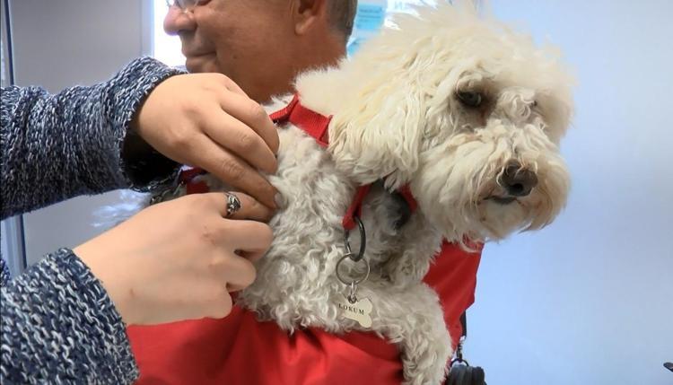 KUDUZUN BİR BULAŞIM SİSTEMİ VAR