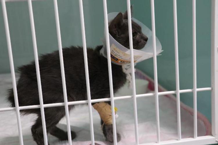 ISIRILAN YER DERİN BASINÇLI SU İLE TEMİZLENMELİ