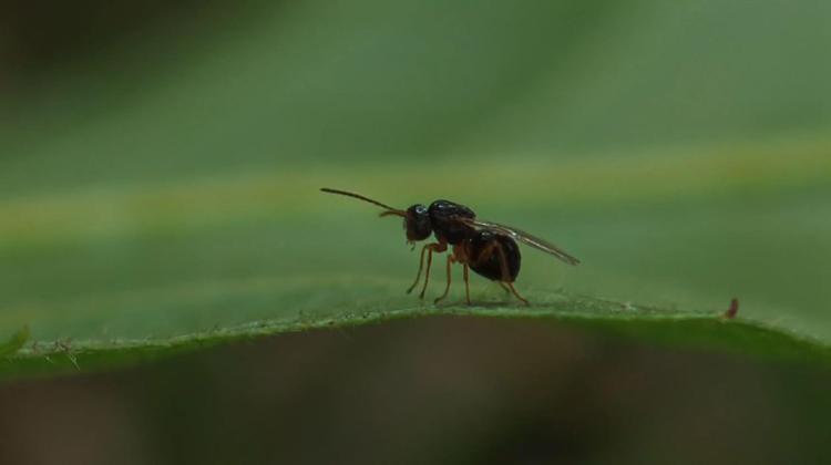 MAYIS AYINDAN İTİBAREN ÇIKARTACAĞIZ