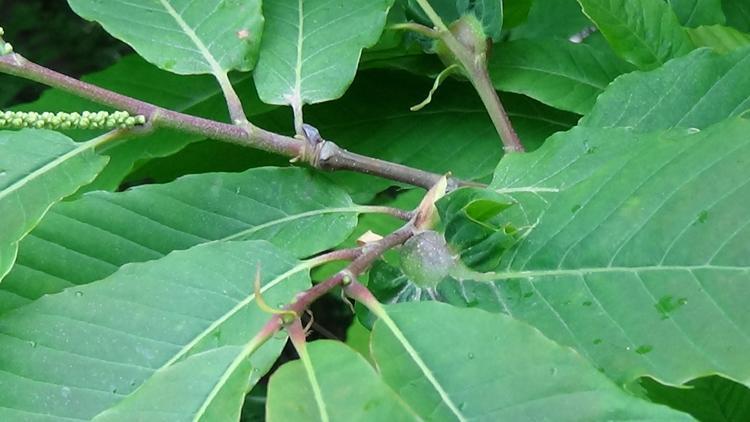 UZUN SÜREÇLİ BİR MÜCADELE OLACAK