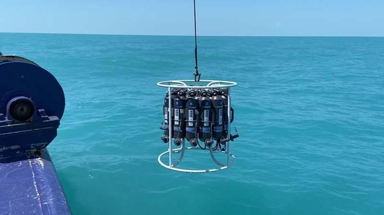 SUDA OKSİJEN AZALMASINA NEDEN OLABİLİYOR