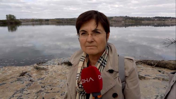 NEHİR ÇIĞLIK ATIYOR