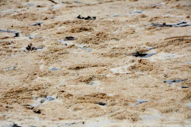 86 İŞLETMEYE ATIKSU DEŞARJI KONULU 16 MİLYON TL CEZA UYGULANMIŞTIR