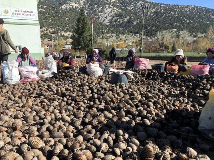 BU KADAR EMEK VERİYORUZ, YANGINLAR GÖRDÜKÇE İÇİMİZ ACIYOR
