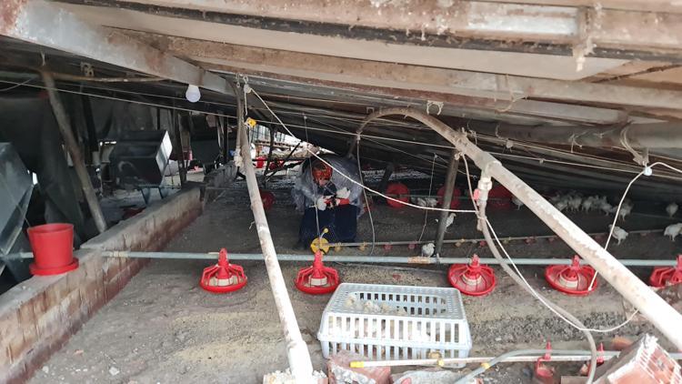 DEPREMDE ATÖLYEDEKİ 20 TONLUK CAM PARÇALANMIŞ