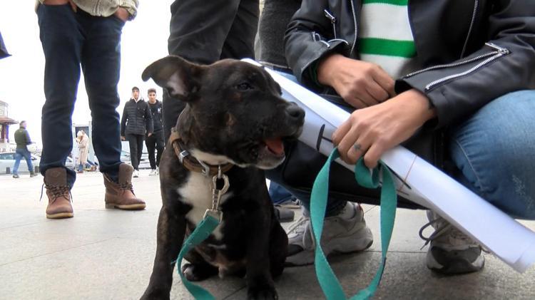 BARINAKLARDA GÖNÜLLÜLER ÇALIŞSIN