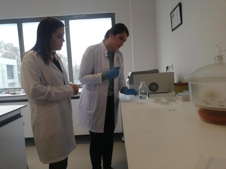 ADLİ VAKALAR KISA SÜREDE ÇÖZÜLECEK