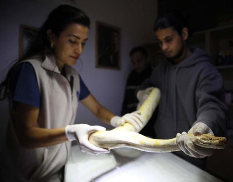 BÜTÜN TÜRLERE RUTİN KONTROL